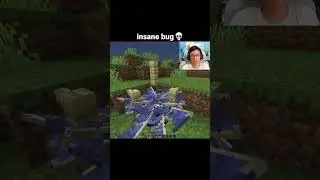 Minecraft Phantom Moment
