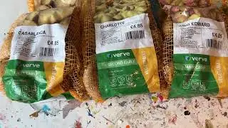Seed potatoes haul