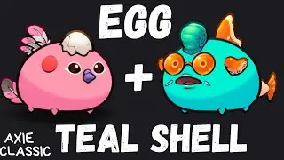 TEAL SHELL AQUA + TRI FEATHER BIRD | AXIE CLASSIC META 2024