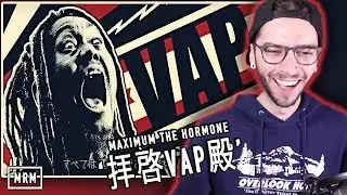 MAXIMUM THE HORMONE - 