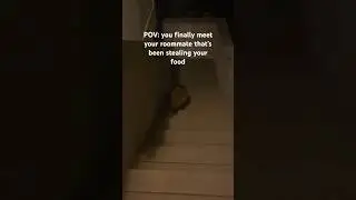 3am vibes