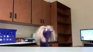 Puppet Analysis- Realism