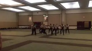 NDA Charlotte 49ers Gold Dusters