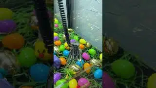 What&rsquo;s Inside of the GOLD Easter Egg? #shorts #arcade #easter #egg