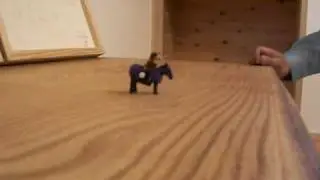 CIMG5625.AVI