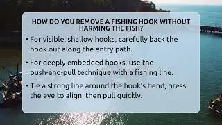 How Do You Remove A Fishing Hook Without Harming The Fish? - Chasing Big Fish