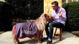 Dr Bjorn interviews JWT's Jason Berry