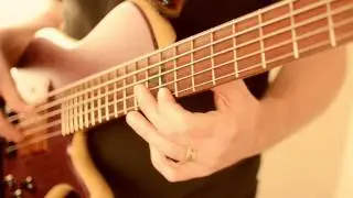 Terra El Toro 5 string