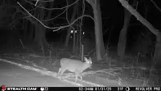 GameCam-1-25
