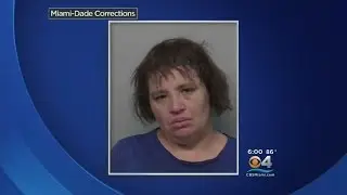 Caught On Camera: Woman With Toy Gun In Confrontation With Officer