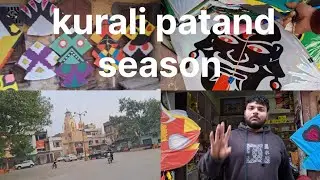 Daily life vlog #punjabi #penduvlog #india  #patang #basantpanchami 