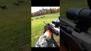&laquo;Встреча с шестью оленями 🦌 | Так близко | Идеальный охотничий выстрел&raquo;#chasse #hunting #deerhunting