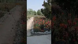 Vienna gardens