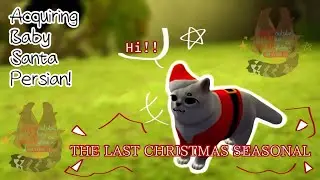 Acquiring Baby Santa Persian! | Kitten Game🐾