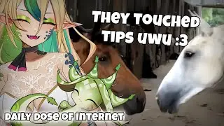 THEY DID WHAT!? 🐴 | Reacting to the Funniest Animal Videos Ever