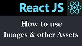How to use Image or other assets in React JS