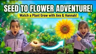 🌱 Plant Life Cycle Adventure! Learn How a Seed Becomes a Plant | Kids Science