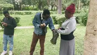 Toro mwana asina hunhu 