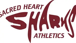 SHA Basketball 2/2 @ 5pm Cardinal O'Hara