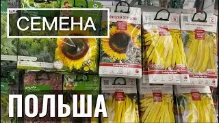 Наконец-то завезли семена в Kaufland !! Польша 2026 . Цены .