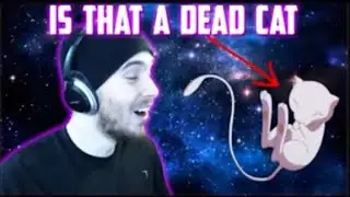 (Charmx Reupload) IS THAT A DEAD CAT? - POK&Eacute;MON: EXPOSED Reaction!