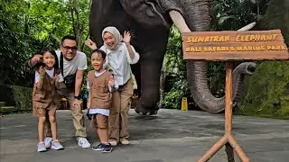 Melali ke The Amazing Taman Safari Bali seru banget, kasih makan singa, jerapah, onta keren