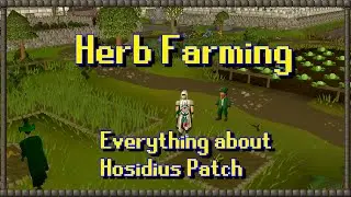 Hosidius Patch Upgrade Guide