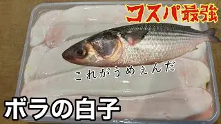 コスパ最強「ボラの白子」簡単に出来る下処理とうんめぇ食い方