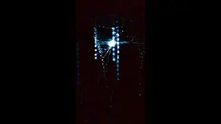 Discover the Enchanting Glow Worm Caves of Tamborine Mountain!