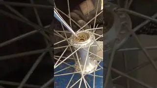 Vintage Shimano Exage Hubs assembling