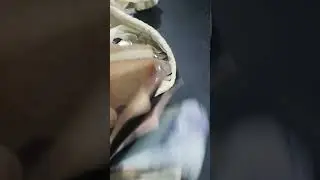 ZAP (55)21 964994135