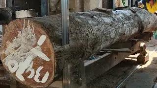Engineer a sawmill line at a sawmill || Teak wood