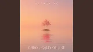 Chronically Online