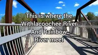 Withlacoochee State Trail from Inverness to Rainbow River