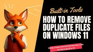 How to Remove Duplicate Files on Windows 11 Using Built-in & Free Tools? Step by Step