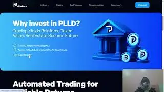 Palladium Network &ndash; Bridging Real Estate and DeFi for Stable Growth