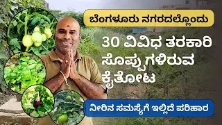 ಬೆಂಗಳೂರು ನಗರದಲ್ಲೊಂದು ವಿಶೇಷ ಕೈತೋಟ @ಗುರು ಗಣೇಶ್ ಜಿ -9731996028