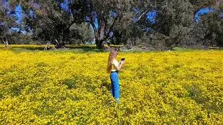 4K DJI NEO Australia First Day of Spring Wild Flowers Perth Western Australia Drone Vlog