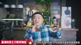 LOTOO乐图PAW D1数码音频DSD界面转换器评测