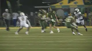 Norfolk State falls to Towson in Vick's debut