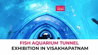 Fish Aquarium Tunnel Exhibition in Visakhapatnam | Vizag Fish Tunnel Exhibition | @hellovizag