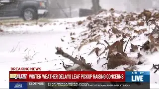 South Bend and St. Joseph County residents frustrated with delayed leaf pickup programs