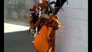 Tiger Banjo Anime Man
