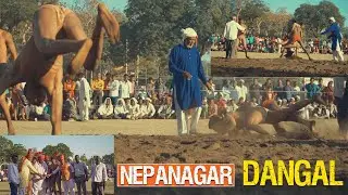 Nagar Dangal || Nepanagar || Nepawood Films