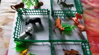 My Zoo