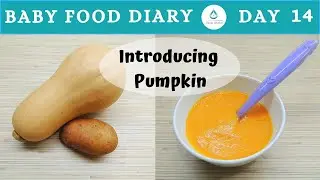Baby Food | Baby Food Diary | Day 14 | Baby Food Pumpkin Potato
