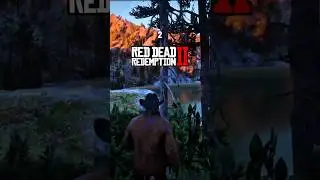 4 редких предмета, которые можно найти в Red Dead Redemption 2