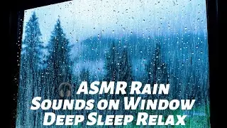 End Sleepless Nights &ndash; Window Rain & Rolling Thunder in a Misty Forest Ambience for Sleep,  Relaxing