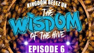Episode 6 Bees The Unsung Hero's of Agriculture
