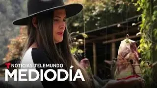 Una colombiana convierte su casa en un santuario para cuidar de colibr&iacute;es | Noticias Telemundo